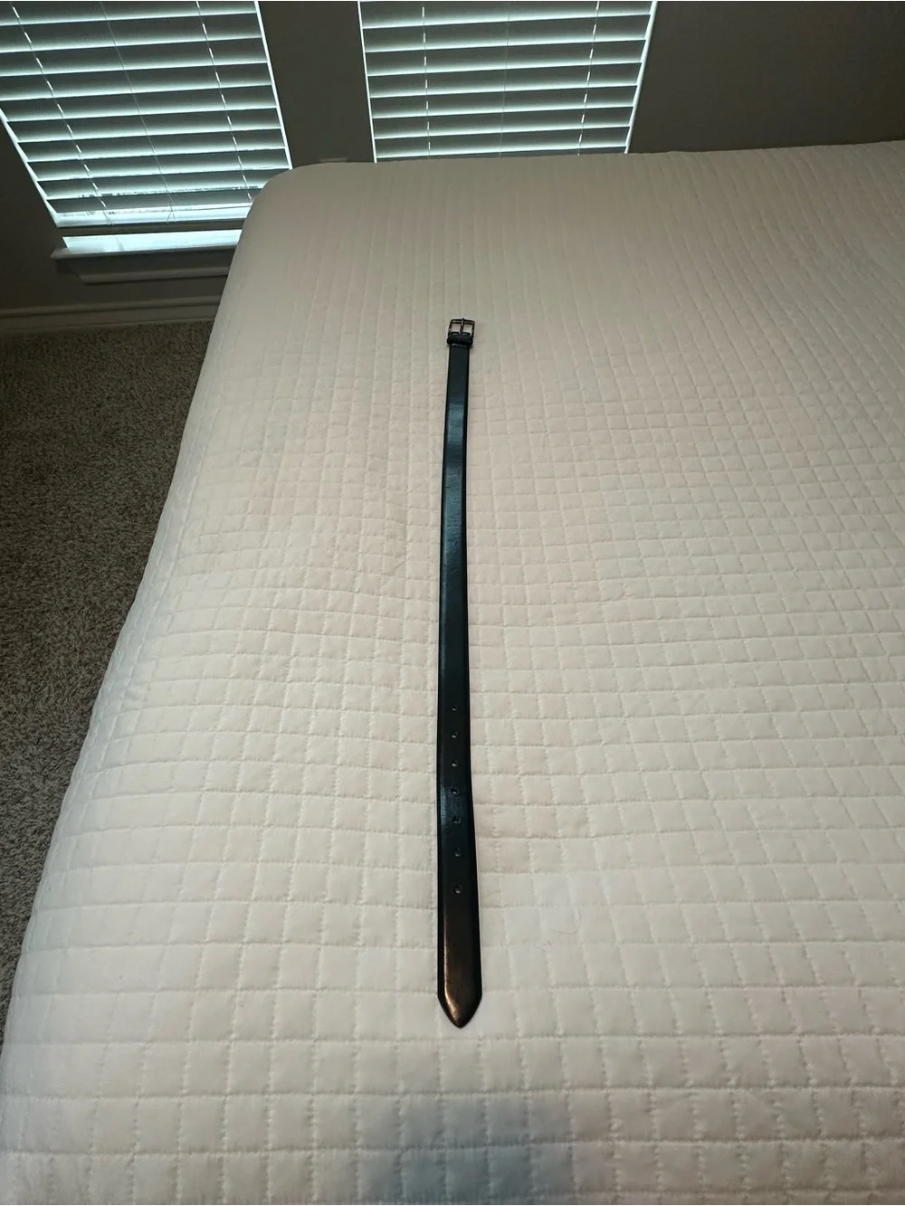 Steve Madden Boys Black Belt